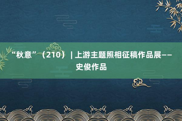“秋意”（210） | 上游主题照相征稿作品展——史俊作品
