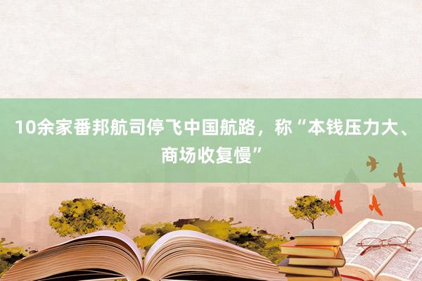 10余家番邦航司停飞中国航路，称“本钱压力大、商场收复慢”