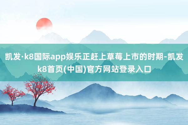凯发·k8国际app娱乐正赶上草莓上市的时期-凯发k8首页(中国)官方网站登录入口